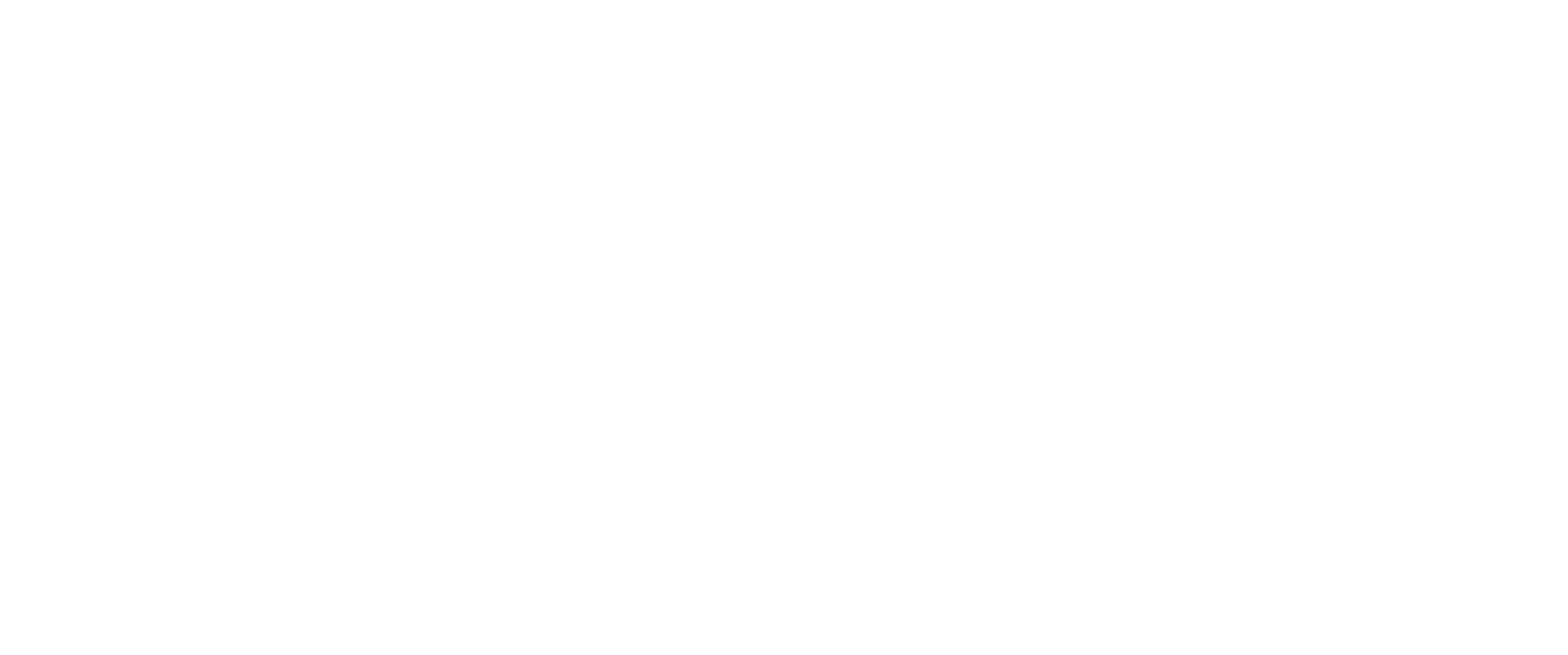 Ethiopian Airlines